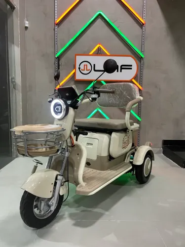 Triciclo elétrico Q Star II