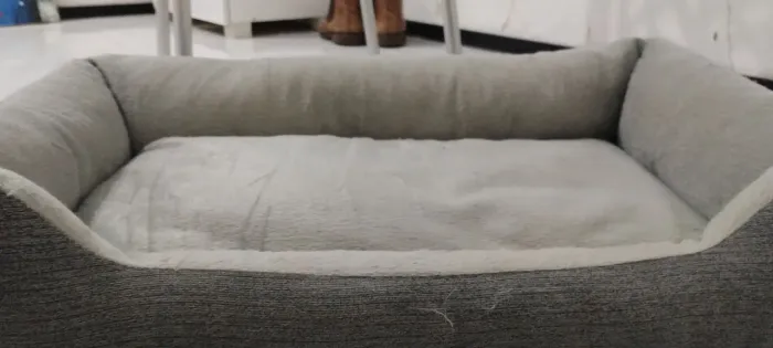 Cama de gato e cachorro