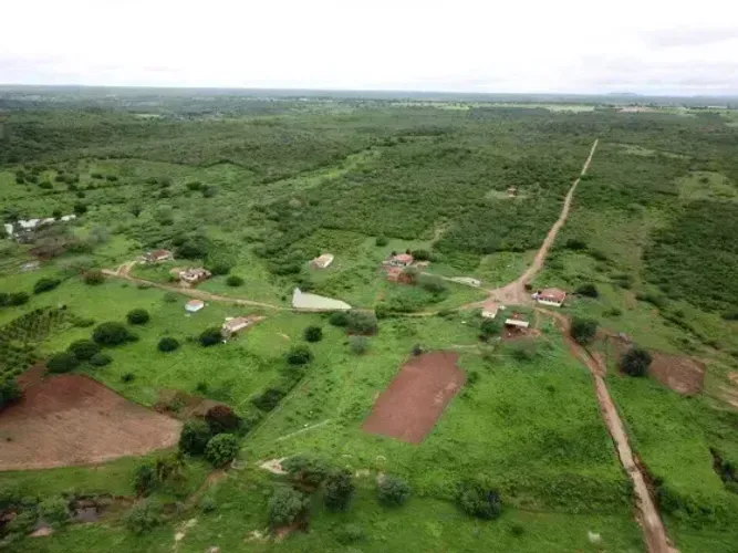 Excelente fazenda com 212.7 hectares na região de São Paulo do Potengi cortada pelo rio Po