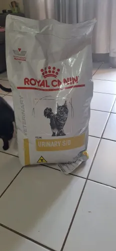 Ração Royal Canin Urinary S/O para Gatos - Lacrada - Oportunidade