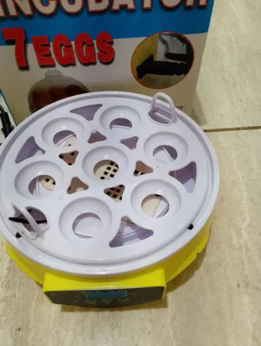 Vendo chocadeira capacidade 7 ovos $120