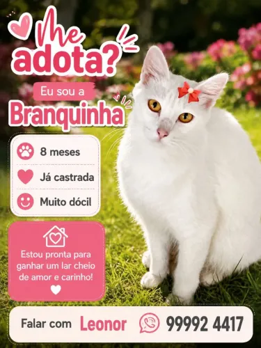 BRANQUINHA LINDA 