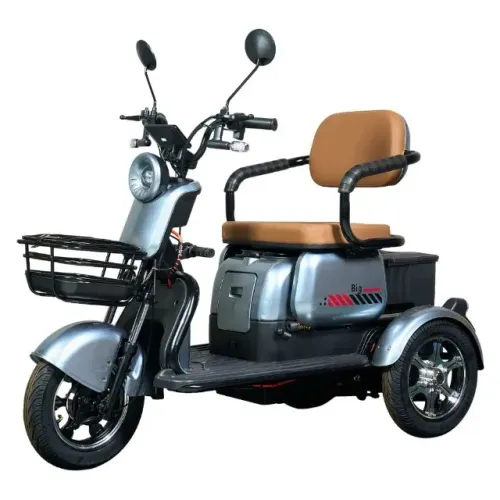 Triciclo elétrico 1000w