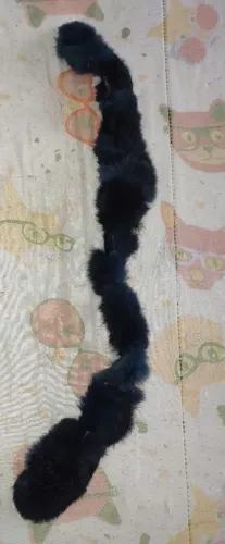 Pompom