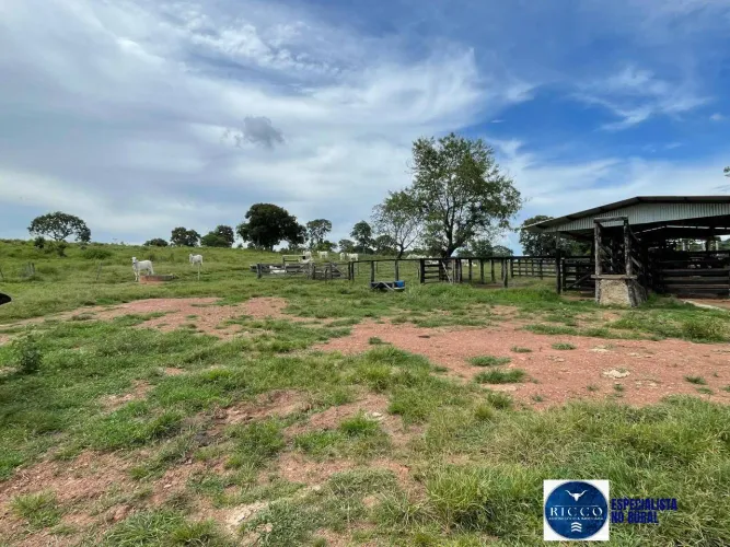 Fazenda à venda em São Miguel do Araguaia - GO | 50 Alqueires