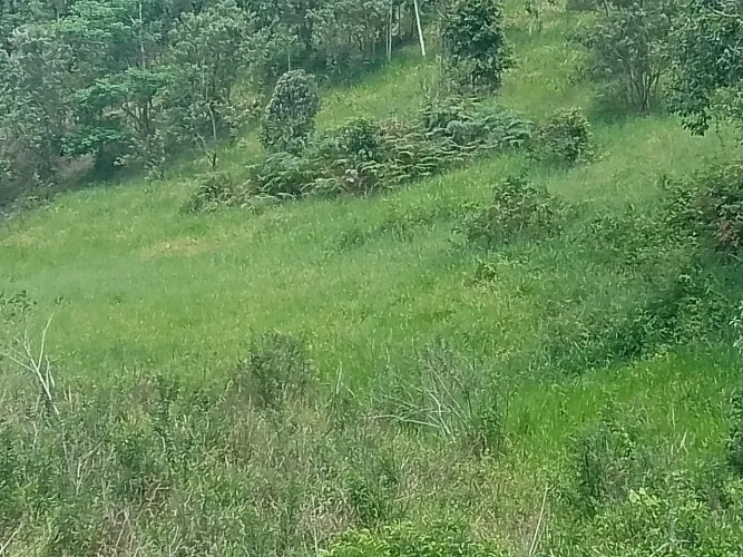 Sítio marechal floriano rio fundo 35 mil metros quadrados