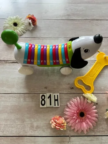 Cachorro Leap Frog Fala , canta em Ingles