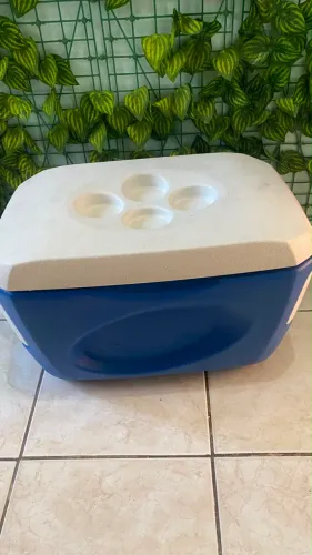 Cooler térmico