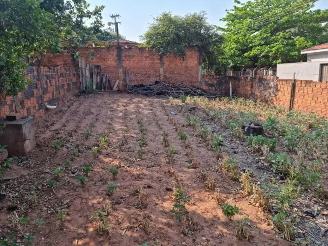 Terreno para Venda em Alfredo Marcondes, CENTRO