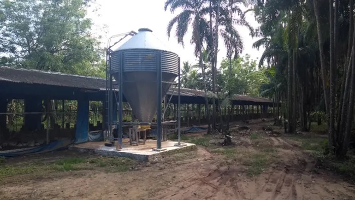 25 hectares na Br316 proximo a Castanhal por 1,5 milhão de reais zap *