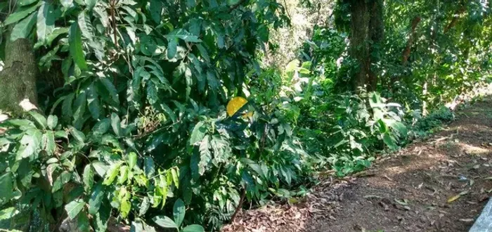 EXCELENTE TERRENO DE 480 m² À VENDA EM CAETÉS, ANGRA DOS REIS - RJ