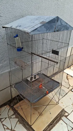 Vendo viveiro passarinho