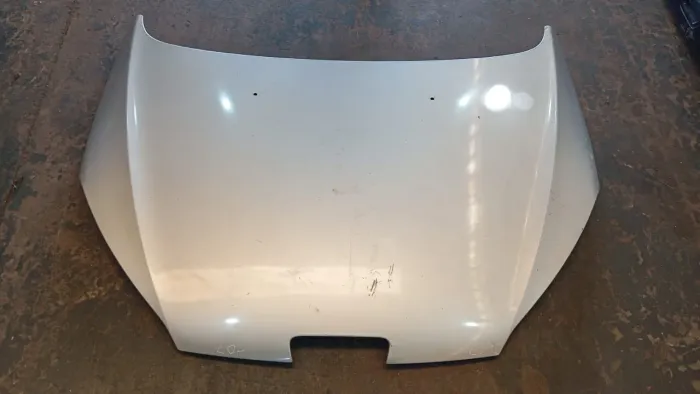Capô Peugeot 407