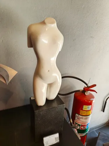 Bruno Giorgi - dorso - Escultura em mármore  (com base) - assinada