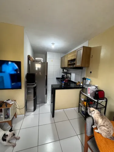 Casa de repasse