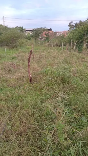 Vende-se terreno próximo ao viveiros 14x7