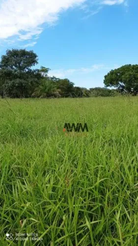 Fazenda à venda, 2444000 m² por R$ 13.000.000,00 - Zona Rural - Novo Brasil/GO
