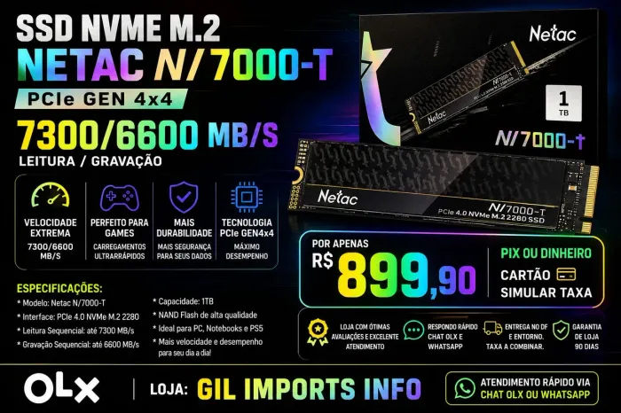 SSD NVME M.2 NETAC N7000-T 1TB PCIe Gen4 x4 | 7300/6600 MB/s | Novo Lacrado