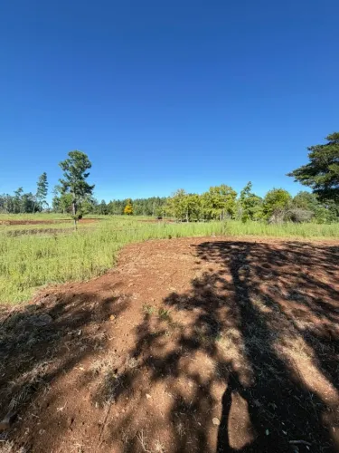  OPORTUNIDADE ÚNICA EM TRÊS COROAS! - ÚLTIMO SÍTIO DISPONÍVEL - 1 HECTARE - Apenas