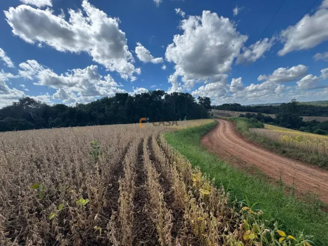TERRENO PARA FORMAÇÃO DE CHÁCARA / PLANTIO COLÔNIA BALBINO CUNHA