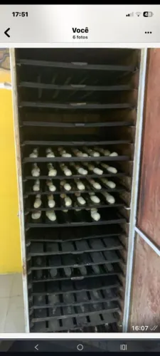 Forno e Armário completo para sua padaria !!!!