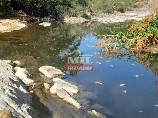 Fazenda 407 Alqueires (1.970 Hectares) Arraias - To