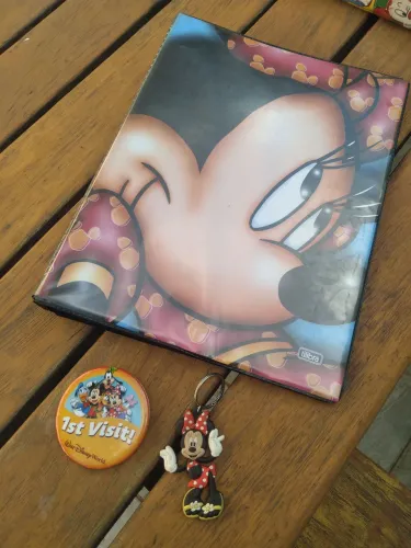 Fichário Minnie