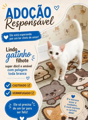 Filhote adoção responsável