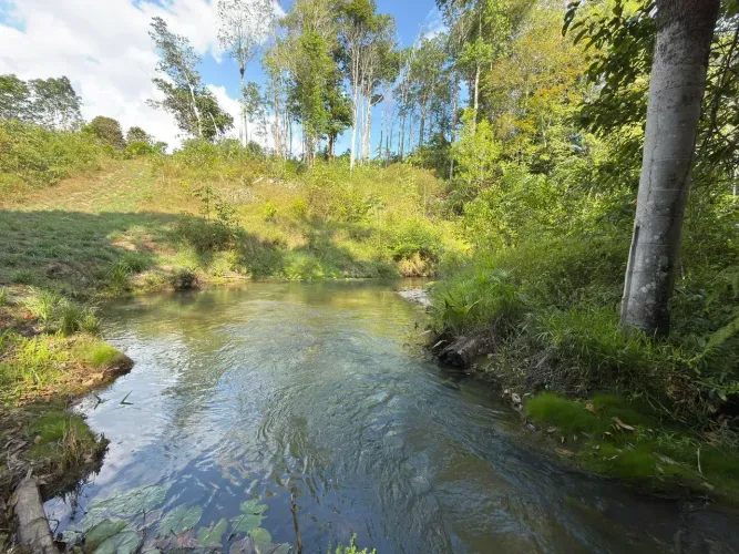 Venda - Entrada de R$ 120.000 ou R$ 170.000 a Vista Rio Preto da Eva - km 100 Am 010 - 3