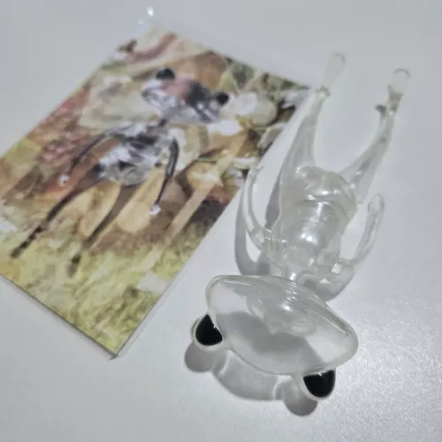 Wonderfrog Wanda Friend