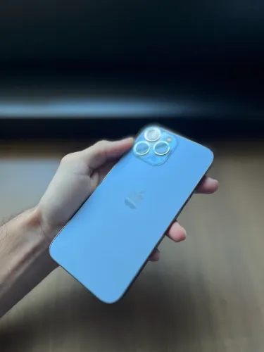 TORRO!! iPhone 13 Pro Max