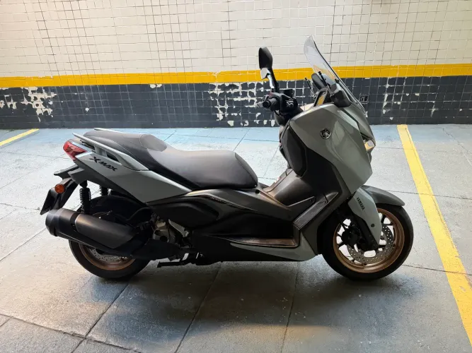 Xmax 300