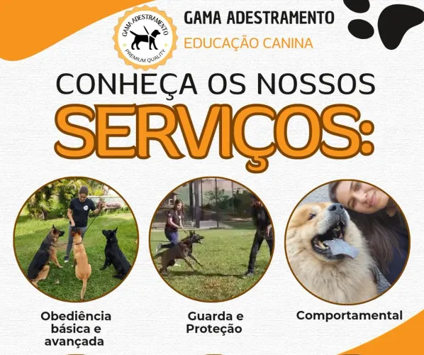ADESTRAMENTO DE CÃES 