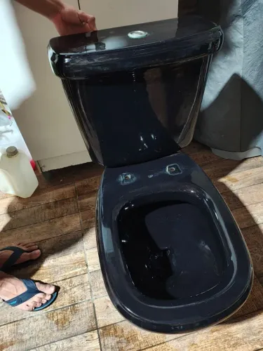 Vendo vaso sanitário com bacia acoplada ,na cor preta.