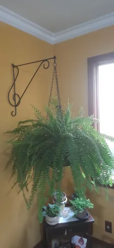 Gancho para Planta comprido 50cm