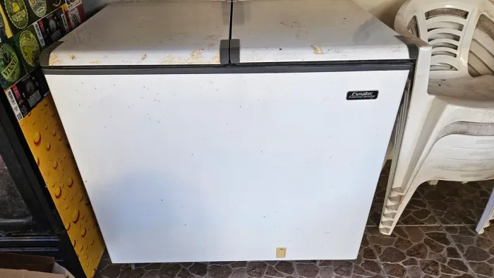 Freezer Horizontal