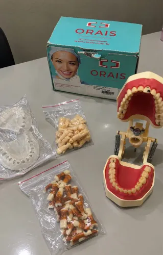 Manequim Odontológico