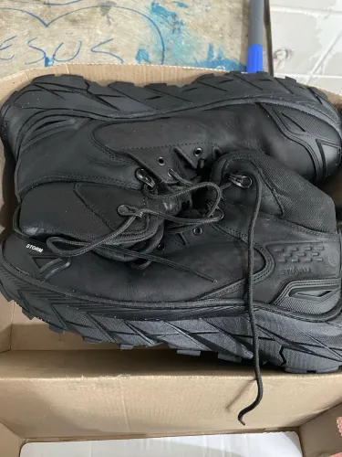 Bota