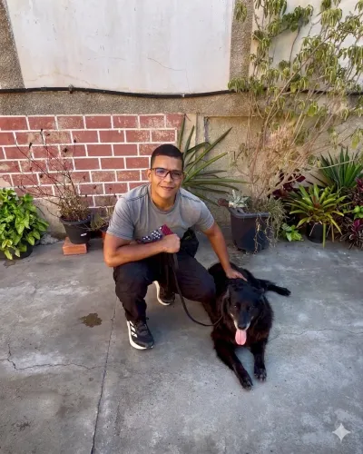 Adestrador de cães 