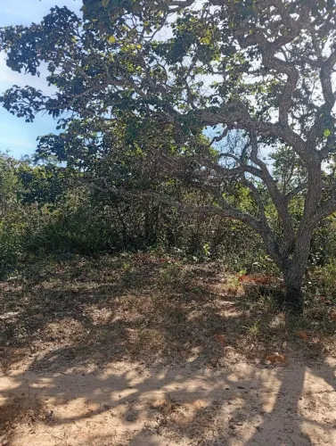 Chácara parcelada 60 meses Portal dos Buritis com água na porta em Mirabela 