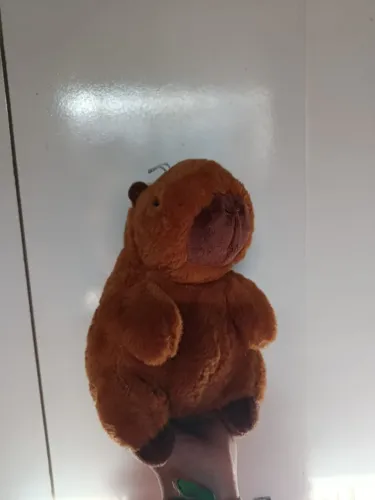 Pelúcia Capivara Fofa Curitiba