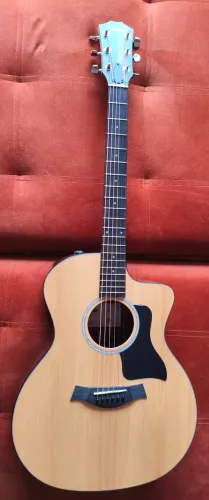 Vendo ou troco Taylor 214CE PLUS nunca usado