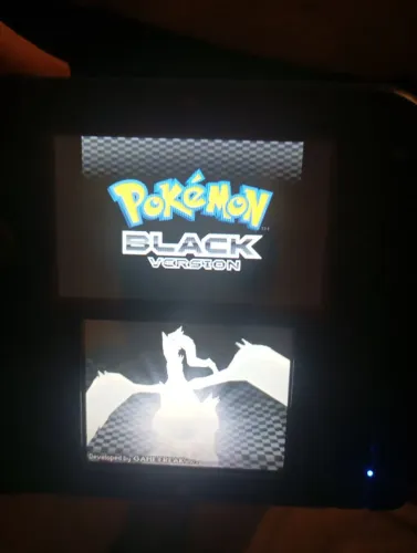 Pokémon Black DS
