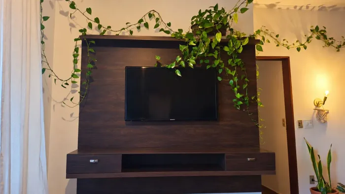 Painel de TV