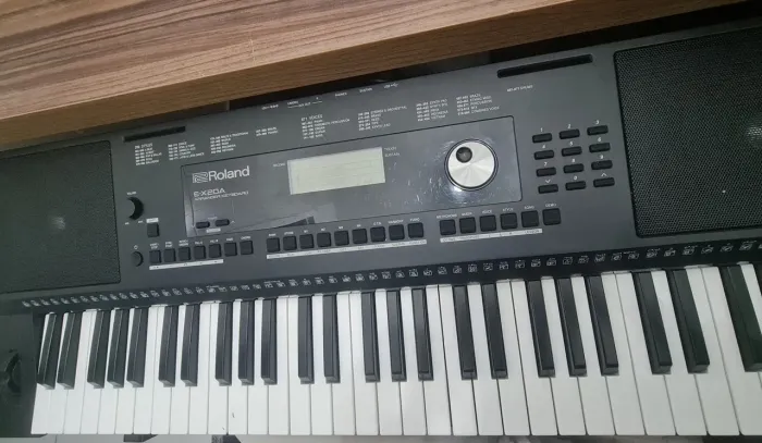 Teclado arranjador Roland EX20A