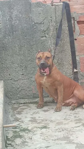 Doa  se só uma saca de ração 