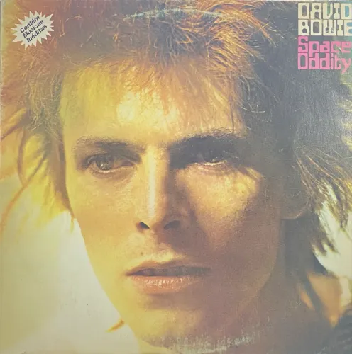 Colecionável David Bowie - Space Oddity | LP Vinil Nacional 1990