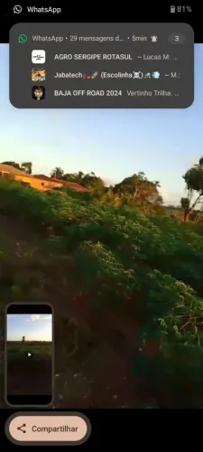 Macaxeira na caixa 35 reais