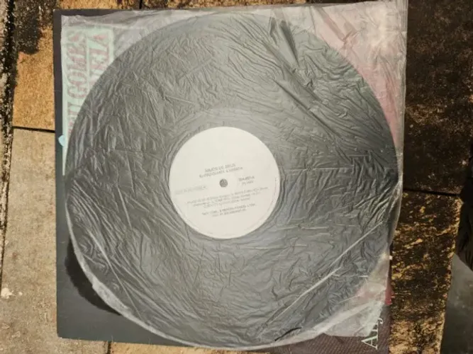 Disco de Vinil Elizeu Gomes Linneia
