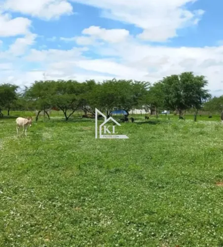 Oportunidade única de negócio: fazenda entre Jandaíra e Guamaré